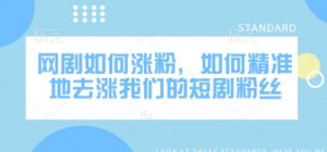 网剧如何涨粉,如何精准地去涨我们的短剧粉丝-云慧网创
