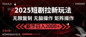 2025短剧拉新玩法,无需注册登录,无限0撸,无脑批量操作日入2000+-云慧网创