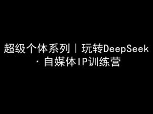 超级个体系列,玩转DeepSeek·自媒体IP训练营,deepseek教程-云慧网创
