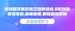 小说推文图文新玩法之动静结合,0粉抖音账号可做,简单粗暴,单日变现多张-云慧网创