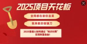 2025项目天花板普通人如何通过知识付费，实现财F自由【揭秘】-云慧网创