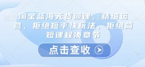 淘宝蓝海无货源课,精细运营,拒绝短平快玩法,拒绝简短课程凑章节-云慧网创