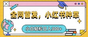 小红书种草,手机项目,日入3张,复制黏贴即可,可矩阵操作,动手不动脑【揭秘】-云慧网创