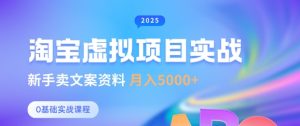 淘宝虚拟项目垂直玩法,新手卖文案资料,月入5k+-云慧网创