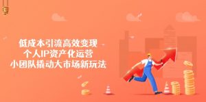 低成本引流高效变现,个人IP资产化运营,小团队撬动大市场新玩法-云慧网创