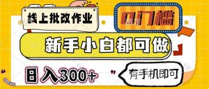 线上批改作业 0门槛 新手小白都可做 日入300+ 有手机即可-云慧网创