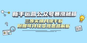 新手运营公众号暴涨秘籍,三步实操月涨千粉,附赠可持续变现思路解析-云慧网创