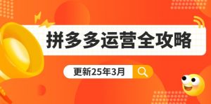 拼多多运营全攻略:从0到日销千单,爆款内功+付费推广+黑科技(更新25年3月-云慧网创