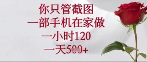 你只管截图,一部手机在家操作,一小时120.一天5张【揭秘】-云慧网创