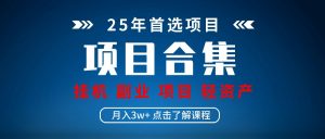 实操项目合集 挂机类型 直播类型 轻资产创业类型 课程分享各项目介绍和原理-云慧网创