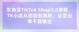 东南亚TikTok Shop3.0课程,TK小店从初级到高阶,运营出单干货输出-云慧网创