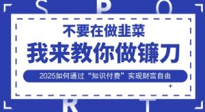 韭菜生涯终结者,我来教你做镰刀,2025如何通过“知识付费”实现财F自由【揭秘】-云慧网创