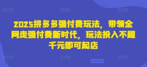 2025拼多多强付费玩法,带领全网走强付费新时代,玩法投入不超千元即可起店-云慧网创