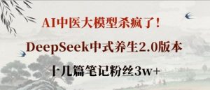 AI中医大模型杀疯了!DeepSeek中式养生2.0版本,十几篇笔记粉丝3w+-云慧网创