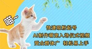 快速吸粉起号,AI制作萌宠入场仪式视频,受众群体广,轻松易上手-云慧网创