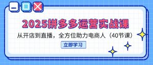 2025拼多多运营实战课,从开店到直播,全方位助力电商人(40节课-云慧网创