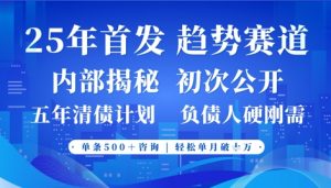 2025年首次公开,真正的事业型赛道,客咨不断,单月轻松破W-云慧网创