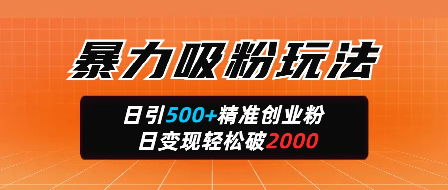 暴力吸粉玩法，日引500+精准创业粉，日变现轻松破2000-云慧网创