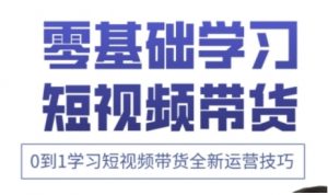 快手运营+高阶剪辑实战课,0到1学习短视频带货全新运营技巧-云慧网创