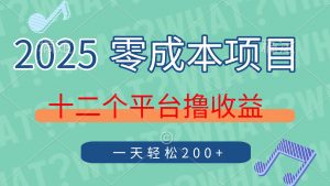 2025年零成本项目,十二个平台撸收益,单号一天轻松200+-云慧网创