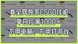 真全网独家CSGO挂G,单日捡漏1k+【揭秘】-云慧网创
