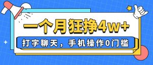 一个月狂挣4w+,打字聊天,手机操作0门槛,新手小白都能做!-云慧网创