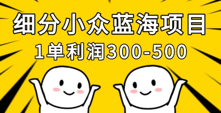 细分小众蓝海项目，一单利润300-500，每月收入稳定4w+-云慧网创