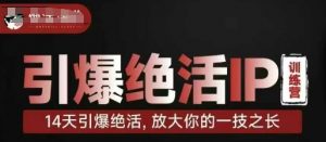 引爆绝活IP训练营,14天引爆绝活,放大你的一技之长-云慧网创