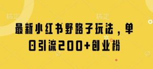 最新小红书野路子玩法,单日引流200+创业粉-云慧网创