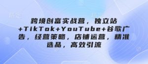 跨境创富实战营,独立站+TikTok+YouTube+谷歌广告,经营策略,店铺运营,精准选品,高效引流-云慧网创