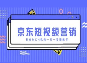 京东短视频营销项目,专业MCN机构一对一实操教学-云慧网创