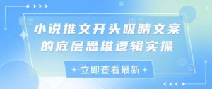 小说推文开头吸睛文案的底层思维逻辑实操-云慧网创
