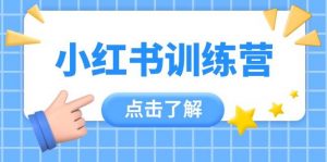 小红书训练营，助小白入门，掌握技巧变达人，课程实操又全面(12节课)-云慧网创
