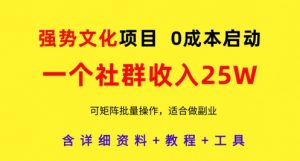 强势文化项目,一个社群收入25个W,0成本启动,可矩阵批量操作,原创详细实操教程-云慧网创