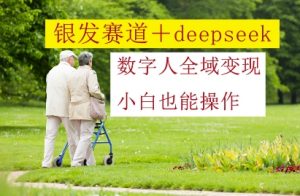 银发赛道+deepseek数字人全域变现,小白也能操作-云慧网创