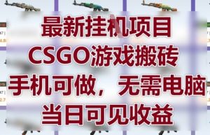 最新挂G项目,CSGO游戏搬砖,手机可做,无需电脑,当日见收益【揭秘】-云慧网创