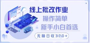 线上批改作业,操作简单新手小白首选,无脑日收300+【揭秘】-云慧网创