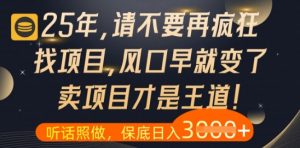 什么?25年你还在疯狂找项目做,醒醒吧,看完这些你全都懂了【揭秘】-云慧网创