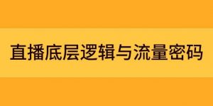 直播底层逻辑与流量密码:定位模型+案例拆解,急速流承接与数据优化全攻略-云慧网创