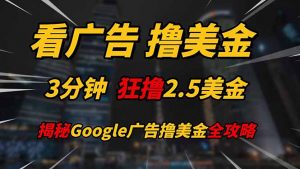 看广告,撸美金!!3分钟赚2.5美金!!日入200美金不是梦!揭秘Google…-云慧网创