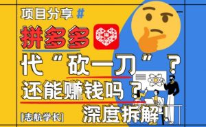 【2025最新】拼多多代坎助力项目深度拆解:还能挣钱吗?全流程玩法-云慧网创