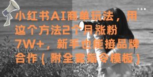 小红书AI商单玩法,用这个方法2个月涨粉7W+,新手也能接品牌合作(附全套指令模板)-云慧网创
