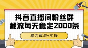 抖音直播间粉丝群暴力截流,一台电脑每天稳定2000条数据,暴力截流+实操 【揭秘】-云慧网创