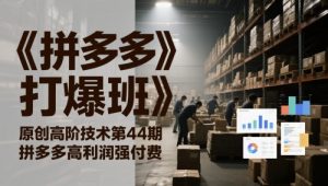 《拼多多打爆班》原创高阶技术第44期,拼多多高利润强付费-云慧网创