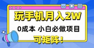 玩玩手机月入20000+,0成本小白必做项目,可矩阵-云慧网创