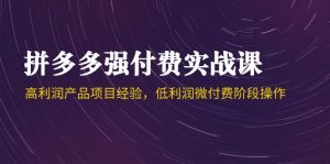 拼多多强付费实战课-44期,高利润产品项目经验,低利润微付费阶段操作-云慧网创