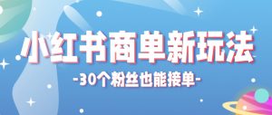 小红书商单新玩法,30个粉丝也能接单,一个月接三单赚了150+!适合新手小白操作-云慧网创