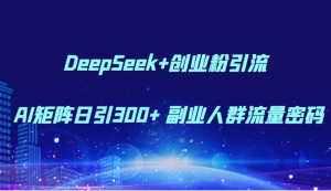 DeepSeek+创业粉引流 AI矩阵日引300+ 副业人群流量密码-云慧网创