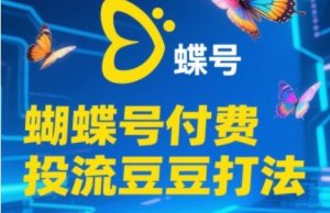2025蝴蝶号付费投流豆豆打法,助新手快速掌握付费流量撬动自然流的核心玩法-云慧网创