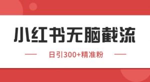 小红书截流同行客源,独家野路子获客玩法 日引200+暴力获客【揭秘】-云慧网创